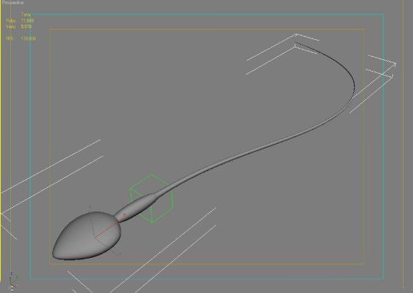 Sperm 3D Model Sperm 3D Model .max