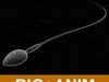 Sperm 3D Model .max