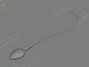 Sperm 3D Model .max
