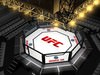 UFC Style Octagon Fighting Arena 3D Model