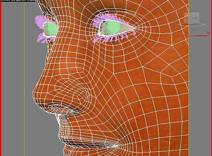 Pretty Female Head 3D Model .max .obj .3ds