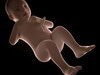 Human Fetus 41 Weeks 3D Model .max .obj .3ds .fbx .lwo .lw .lws .c4d