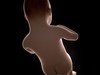 Human Fetus 41 Weeks 3D Model .max .obj .3ds .fbx .lwo .lw .lws .c4d