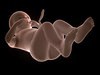 Human Fetus 41 Weeks 3D Model .max .obj .3ds .fbx .lwo .lw .lws .c4d