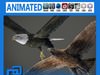 Animated Bald and Golden Eagle 3D Model