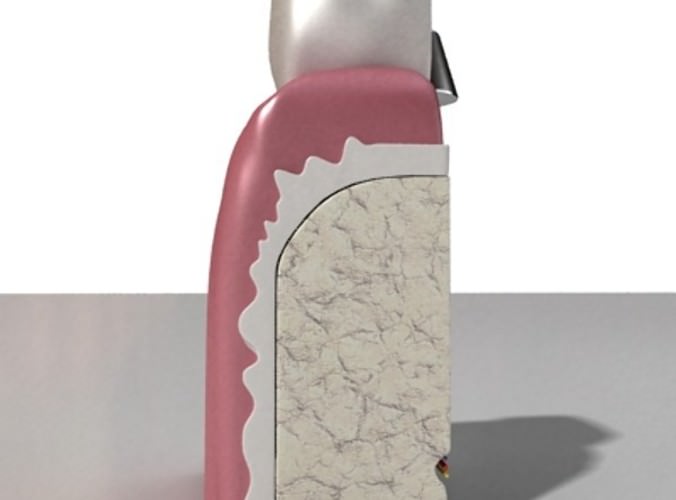 Dental Implant 3D Model .max .obj .3ds .fbx