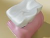 Tooth High Detail 3D Model .max .obj .3ds .fbx