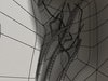 Tooth Dental Plaque High Detail 3D Model .max .obj .3ds .fbx