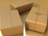 Cardboard Box Wrapped in Brown Paper - Package 3D Model .max .obj .3ds .fbx