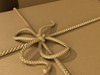 Cardboard Box Wrapped in Brown Paper - Package 3D Model .max .obj .3ds .fbx