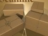 Cardboard Box Wrapped in Brown Paper - Package 3D Model .max .obj .3ds .fbx