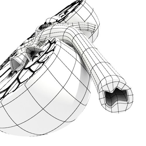 Kidney Anatomy High Detail 3D Model .max .obj .3ds .fbx