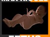 Human Fetus 41 Weeks 3ds Max Rigged 3D Model