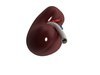 Human Kidneys 3D Model .max .obj .3ds .fbx