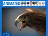 Animated Golden Eagle 3D Model