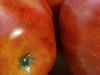 Red Apples in Decorative Metal Wire Container 3D Model .max .obj .3ds .fbx
