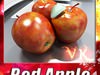 Red Apple High Detail 3D Model