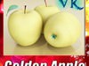 Yellow Apple High Detail Resolution 3D Model