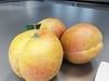 Photorealistic Peach High Resolution 3D Model .max .obj .3ds .fbx
