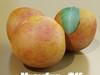 Photorealistic Peach High Resolution 3D Model .max .obj .3ds .fbx