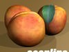 Photorealistic Peach High Resolution 3D Model .max .obj .3ds .fbx