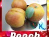 Photorealistic Peach High Resolution 3D Model .max .obj .3ds .fbx