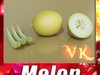 Melon High Res Textures