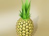Fruits and Basket Collection 3D Model .max .obj .3ds .fbx