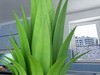 Fruits and Basket Collection 3D Model .max .obj .3ds .fbx