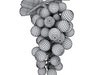 Green Grapes High Detail 3D Model .max .obj .3ds .fbx