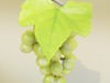 Green Grapes High Detail 3D Model .max .obj .3ds .fbx