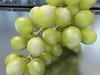 Green Grapes High Detail 3D Model .max .obj .3ds .fbx