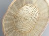 Basket and bowls collection 14 items 3D Model .max .obj .3ds .fbx