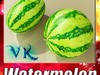 Watermelon High Res Texture