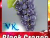 Black Grapes High Detail