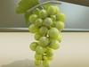 Green Grapes in Glass Bowl 3D Model .max .obj .3ds .fbx