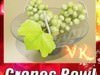 Green Grapes in Glass Bowl 3D Model .max .obj .3ds .fbx