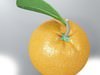 Grocery Store Produce Display Fruits 3D Model .max .obj .3ds .fbx