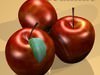 Grocery Store Produce Display Fruits 3D Model .max .obj .3ds .fbx