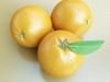 Grocery Store Produce Display Fruits 3D Model .max .obj .3ds .fbx