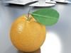 Grocery Store Produce Display Fruits 3D Model .max .obj .3ds .fbx