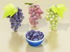 Grapes Collection High Detailed 3D Model