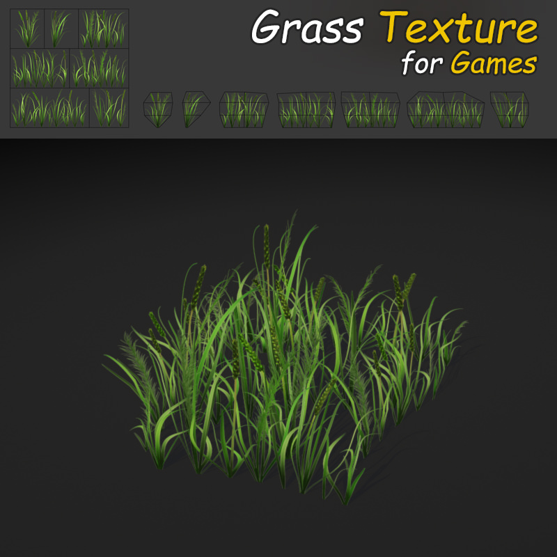 Grass Texture 3D Model Game ready .max .obj .fbx
