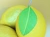 Fruit Stand Smoothable 3D Model .max .obj .3ds .fbx