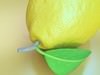 Fruit Stand Smoothable 3D Model .max .obj .3ds .fbx