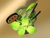 Mojito Cocktail High Detail 3D Model .max .obj .3ds .fbx