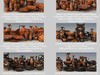 Greek Bilingual Various Subjects Collection I Single Piece Pottery GRKvs1BI01 3D Model .obj .lwo .lw .lws