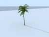 Palm Vray 3D Model