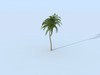 Palm Vray 3D Model .c4d