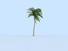 Palm Vray 3D Model .c4d